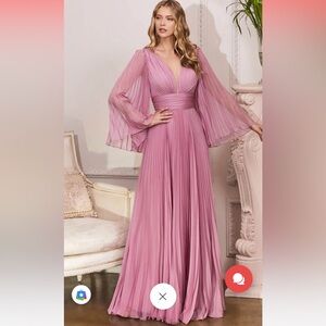 Cinderella Divine Blossom Pink Pleated Maxi Dress NWT